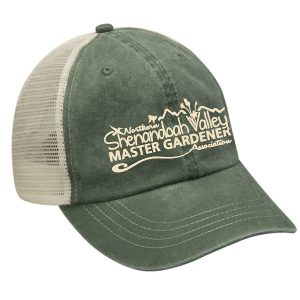 Sage Green Cap